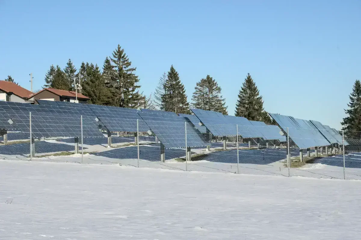 Fileiras de painéis solares em campo com neve, casas e árvores ao fundo sob céu azul