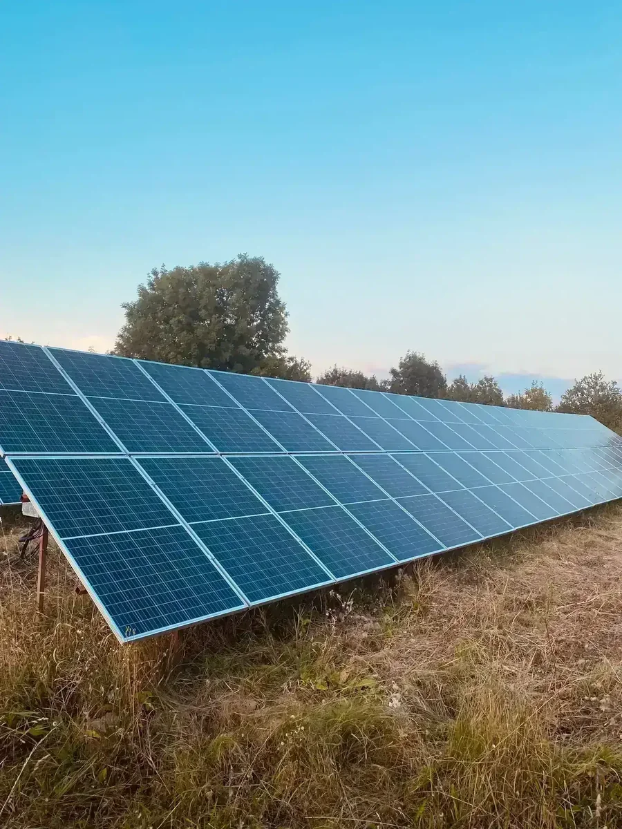 Painéis solares instalados em campo de grama seca sob céu azul, com árvores ao fundo