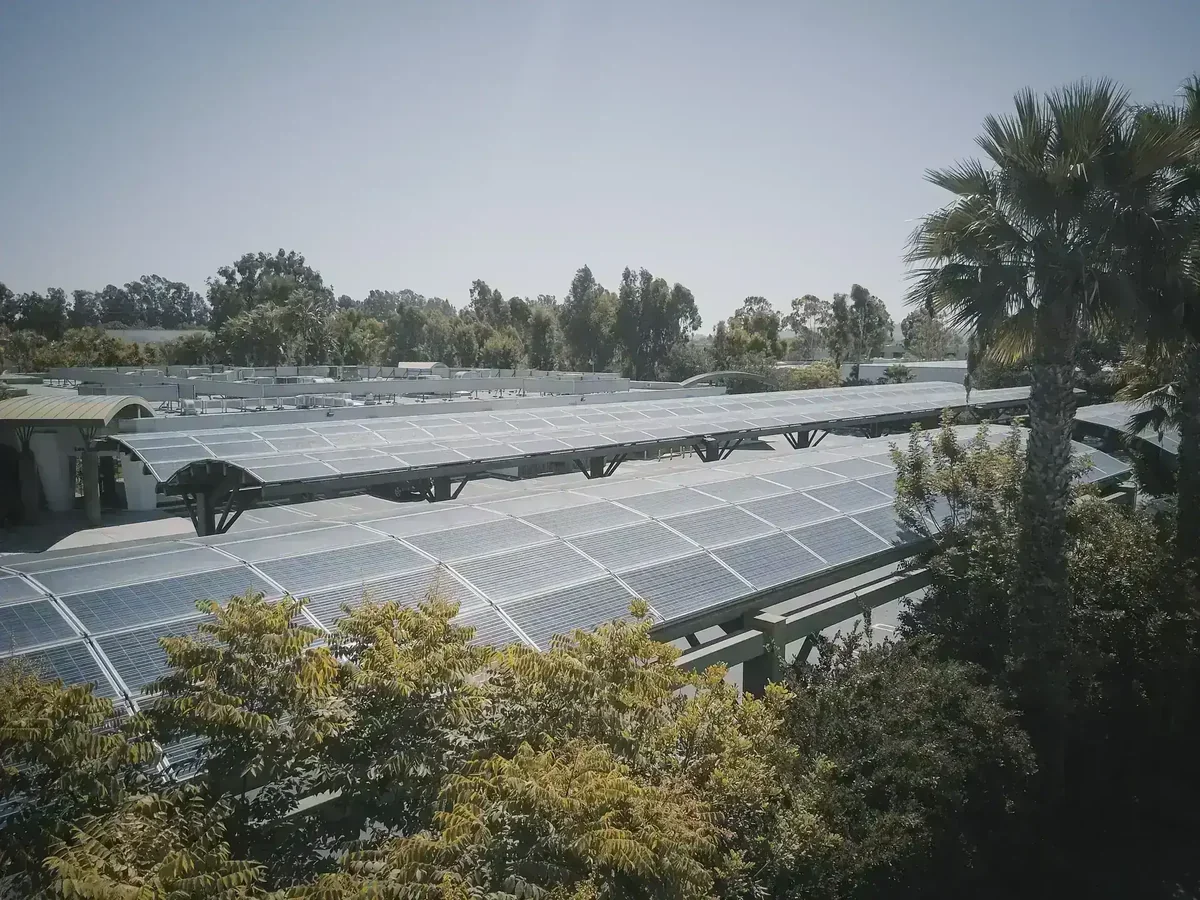 Grandes painéis solares em estrutura curva, com árvores e palmeiras ao redor, sob céu claro