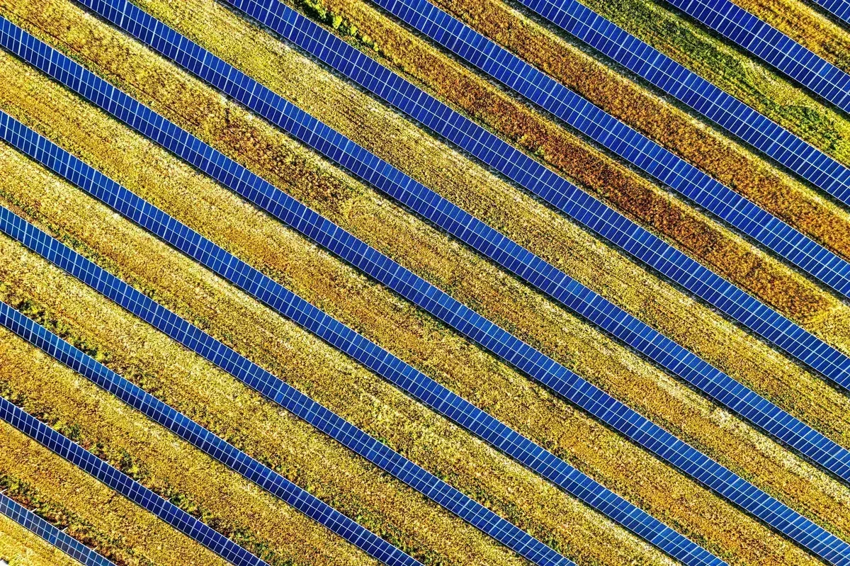 Vista aérea de painéis solares azuis em fileiras diagonais sobre campos amarelados